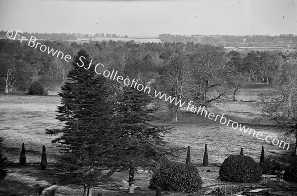 LAKES & TREES FROM DOME